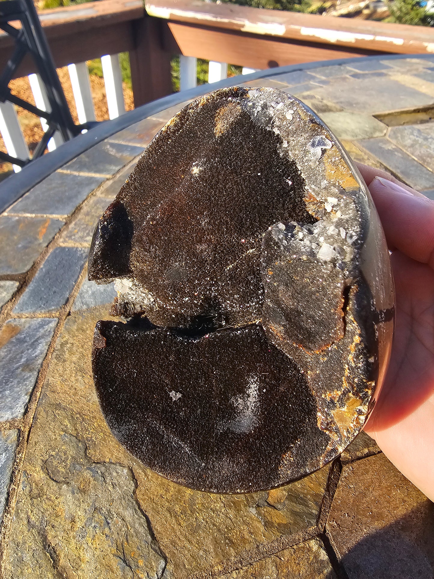 Druzy septarian nodule egg