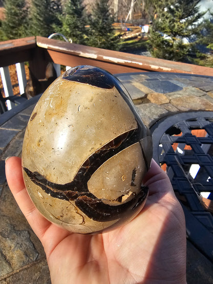 Druzy septarian nodule egg