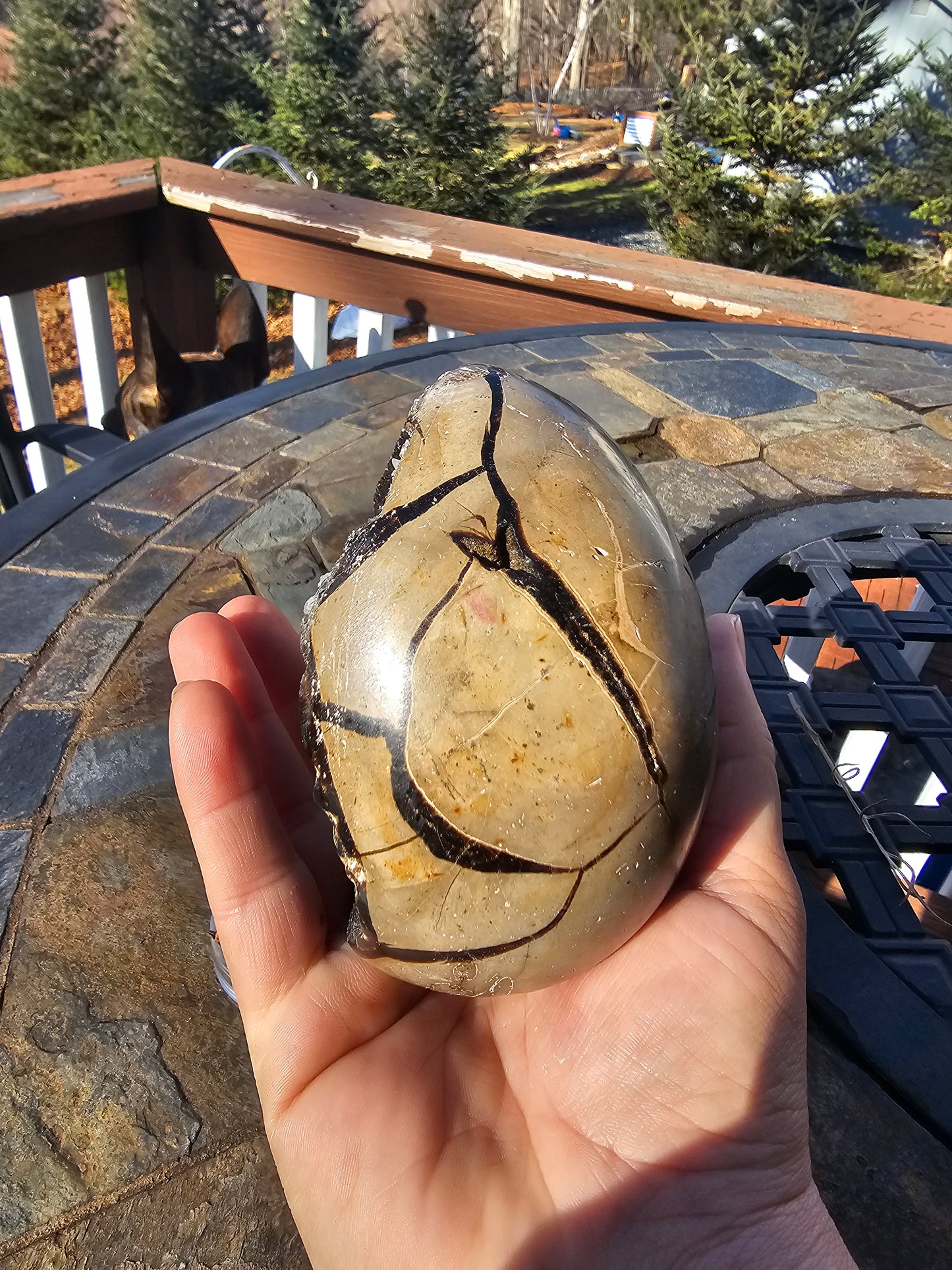 Druzy septarian nodule egg