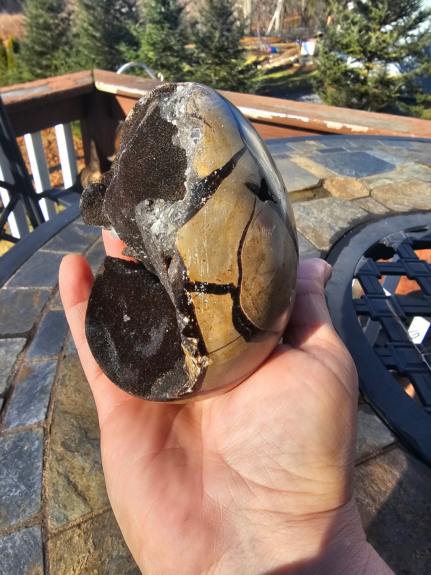 Druzy septarian nodule egg