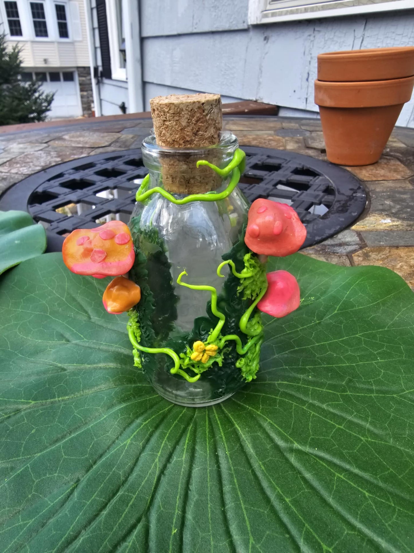 Poison Mushroom "Stash" jar