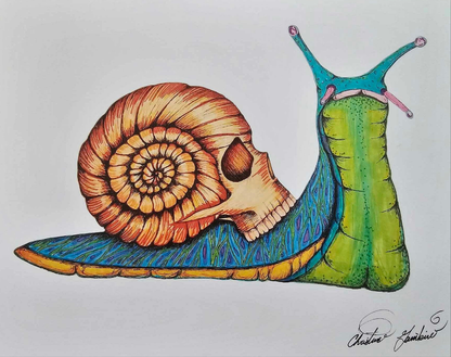 Original Art Print - 'Skull Snail' Ultra Premium Photo Paper 8 1/2'' by 11'' and 5 1/2''