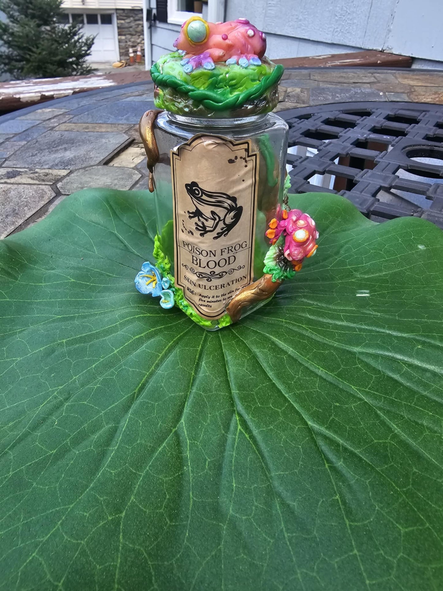 Poison Tree frog "Stash" jar