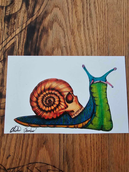 Original Art Print - 'Skull Snail' Ultra Premium Photo Paper 8 1/2'' by 11'' and 5 1/2''