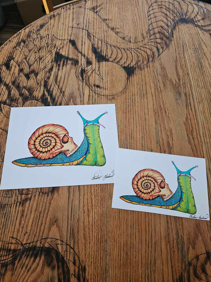 Original Art Print - 'Skull Snail' Ultra Premium Photo Paper 8 1/2'' by 11'' and 5 1/2''