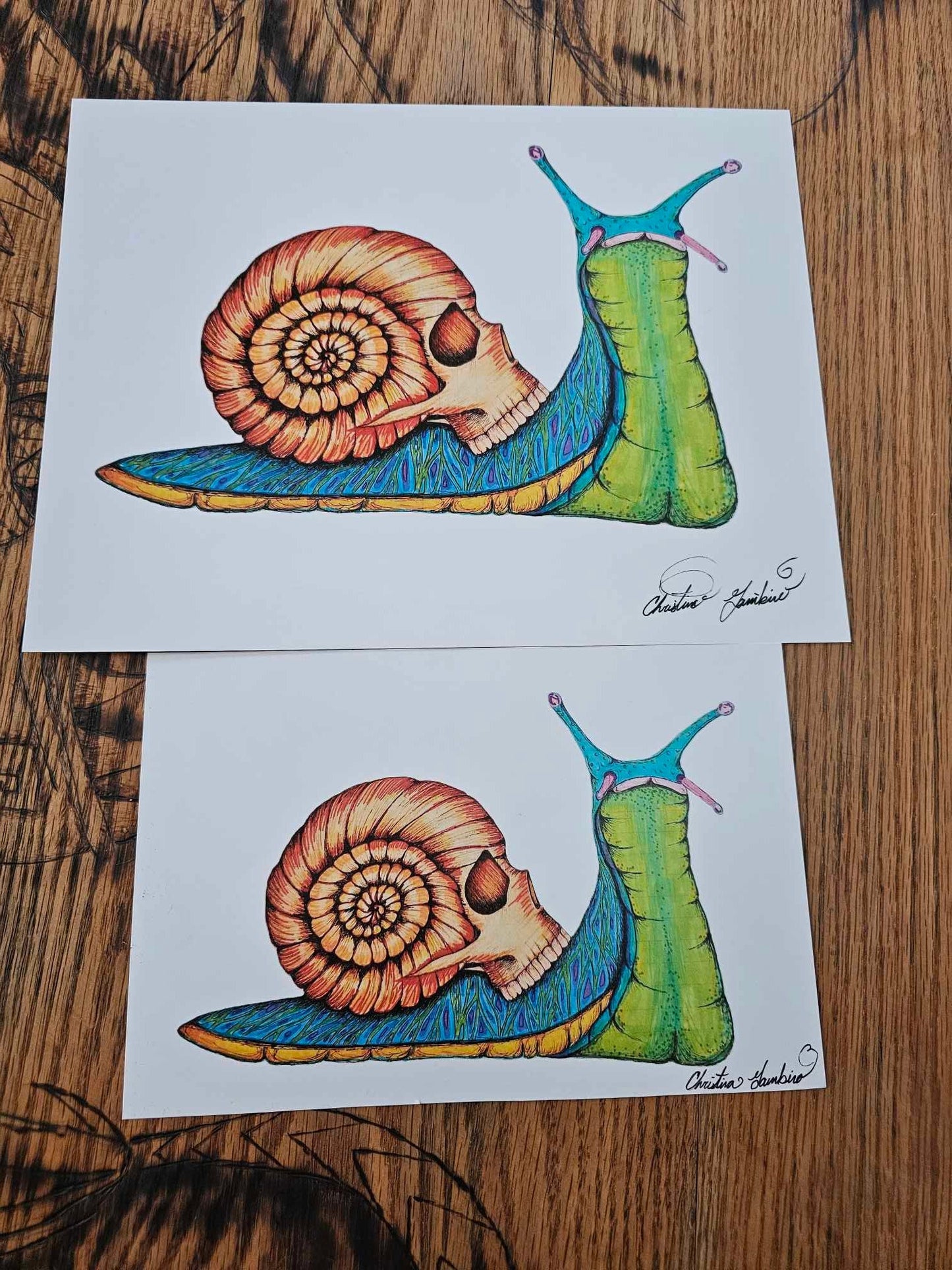 Original Art Print - 'Skull Snail' Ultra Premium Photo Paper 8 1/2'' by 11'' and 5 1/2''