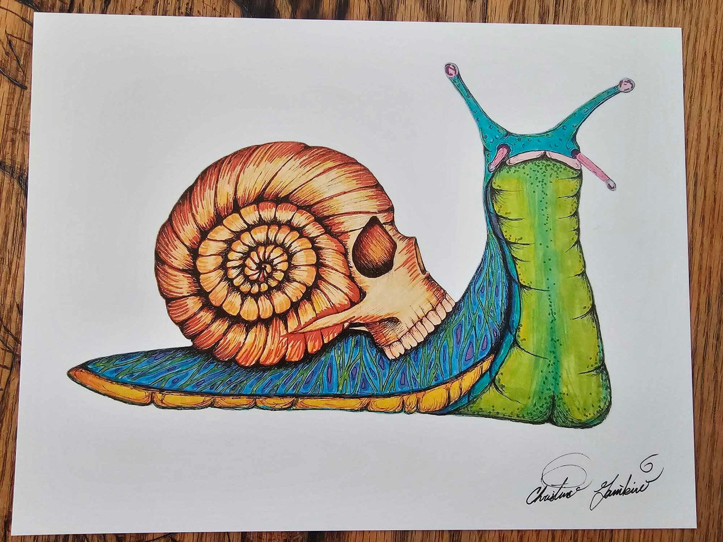 Original Art Print - 'Skull Snail' Ultra Premium Photo Paper 8 1/2'' by 11'' and 5 1/2''