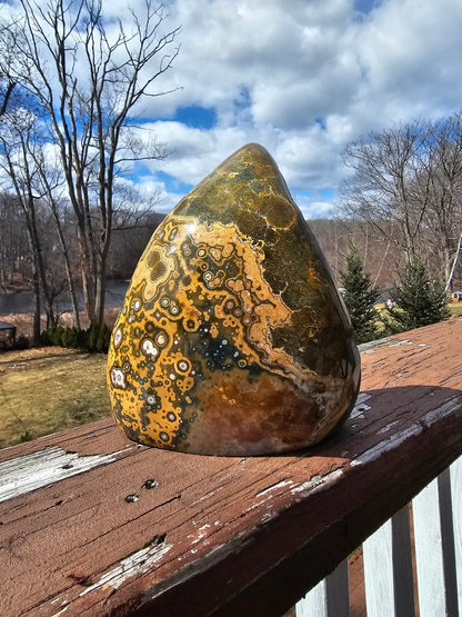 Gorgeous rare oldstock orbicular Ocean Jasper -yellow and green-madagascar