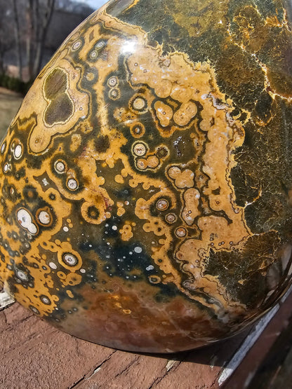 Gorgeous rare oldstock orbicular Ocean Jasper -yellow and green-madagascar