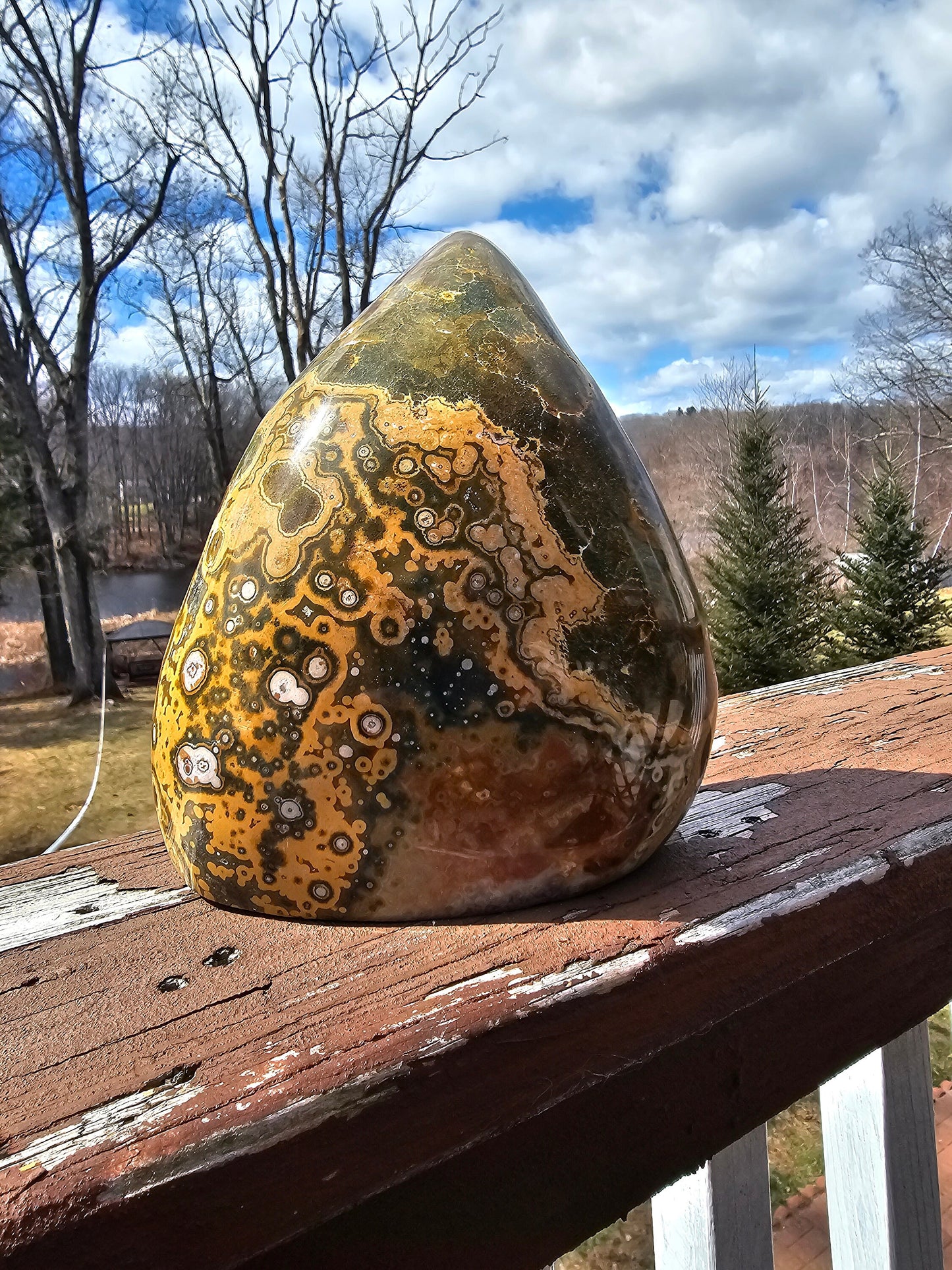 Gorgeous rare oldstock orbicular Ocean Jasper -yellow and green-madagascar