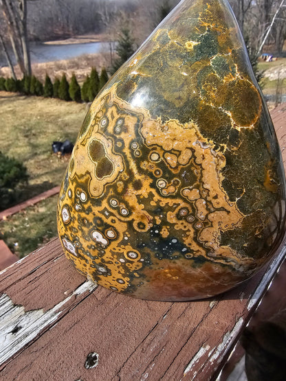 Gorgeous rare oldstock orbicular Ocean Jasper -yellow and green-madagascar