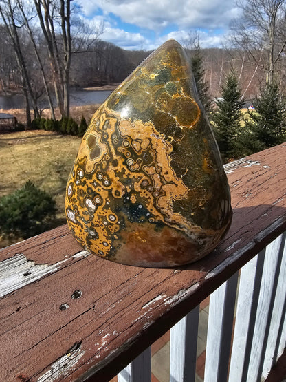 Gorgeous rare oldstock orbicular Ocean Jasper -yellow and green-madagascar