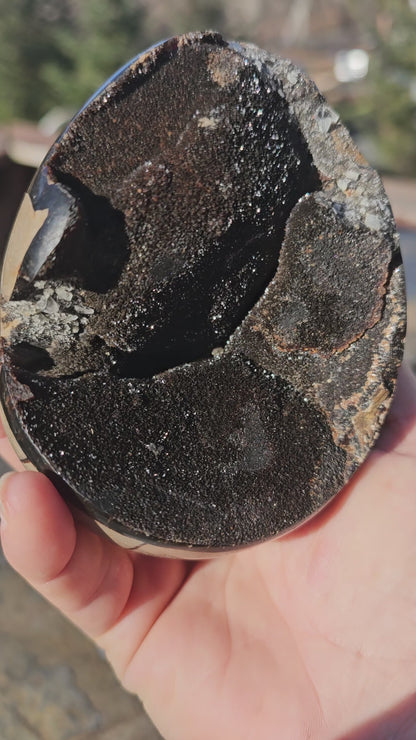 Druzy septarian nodule egg